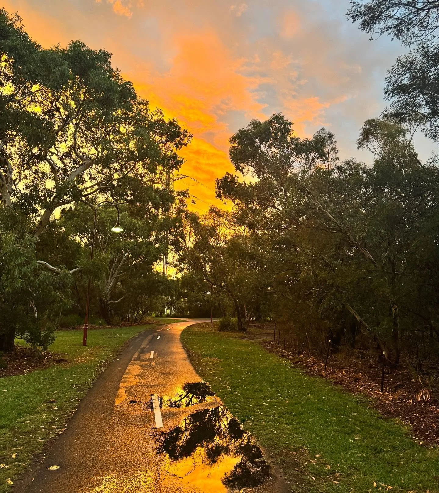 Golden-hour parkland path near Camberwell — the neighbourhood the clinic serves